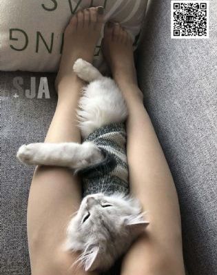 丹特丽安的书架_BD韩语在线观看高清