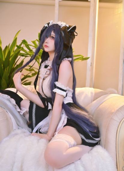 倒霉熊电影免费全集完整版_免费手机在线看观看